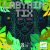 Labirintus - Labyrintix - Figyelem, gyorsaság fejlesztőjáték - Djeco
