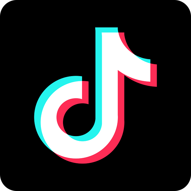 Gekkotoys - Djeco - Tiktok